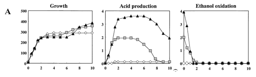 Growth - Acid production - Ethanol oxidation