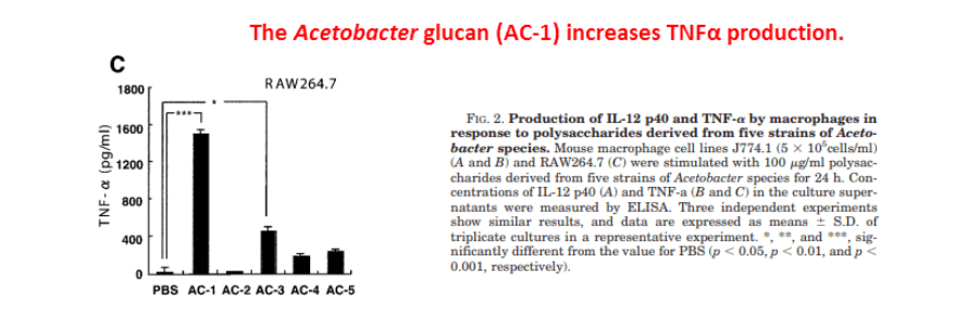 The Acetobacter glucan (AC-1) increases TNFα production.