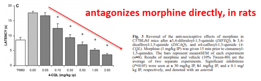 antagonizes morphine directly, in rats