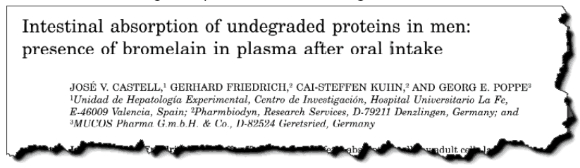 Intestinal absorption of undegraded proteins in men: presence of bromelain in plasma after oral intake