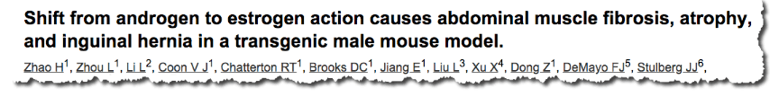 Shift from androgen to estrogen action causes abdominal muscle fibrosis, atrophy, and inguinal hernia in a transgenic male mouse model