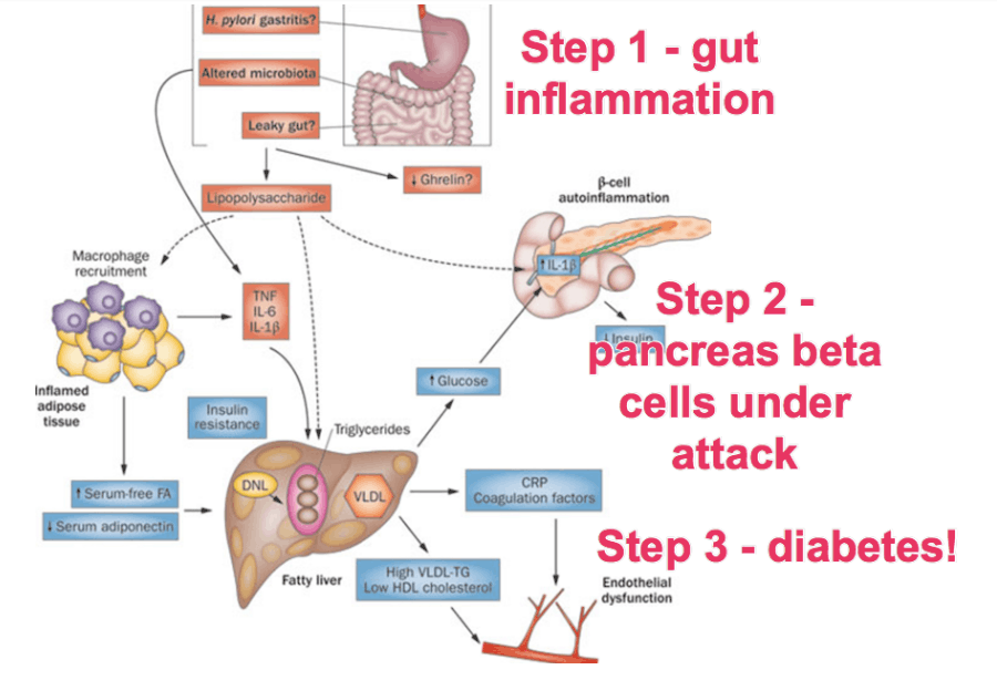 Daily Medical Discoveries Model Diagram