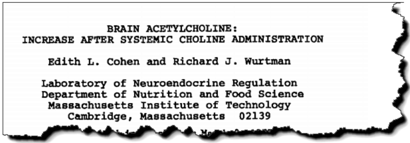 Brain acetylcholine: increase after systematic choline administration.