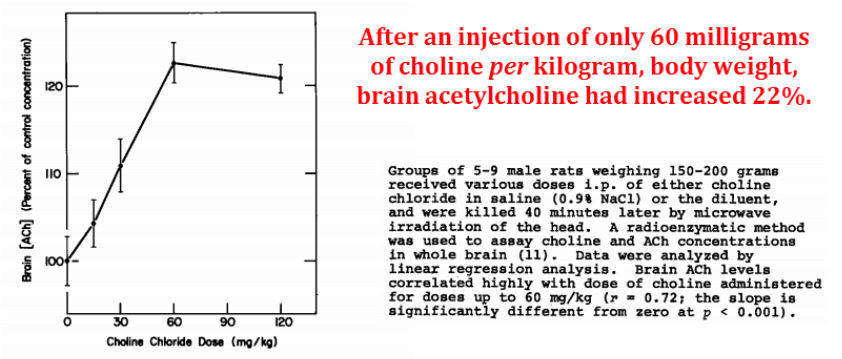 After an injection of only 60 milligrams of choline per kilogram, body weight, brain acetylcholine had increased 22%