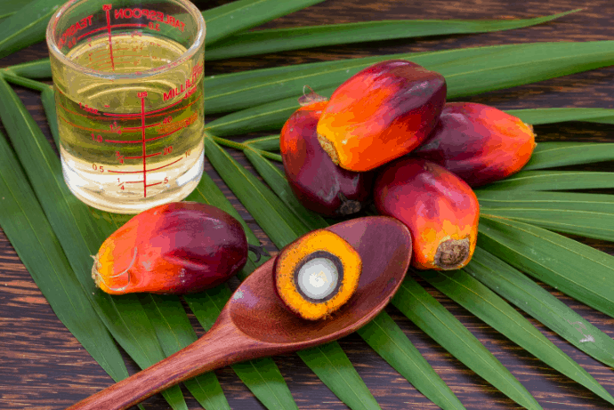 Daily Medical Discoveries Image of Red Palm Fruit