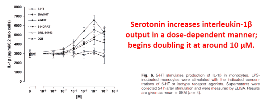 Serotonin increases interleukin-1B output in a dose-dependent manner; begins doubling it at around 10μM