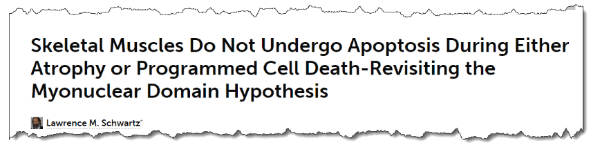 Skeletal Muscles Do Not Undergo Apoptosis During Either Atrophy or Programmed Cell Death-Revisiting the Myonuclear Domain Hypothesis