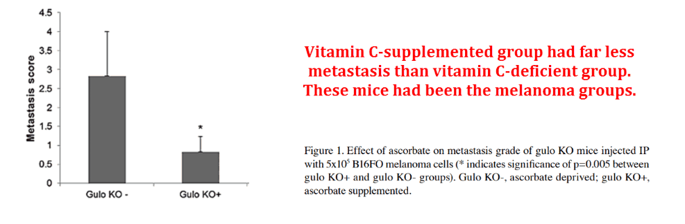 Vitamin C-supplemented group had far less melastasis than vitamin C-deficient group. These mice had been the melanoma groups.
