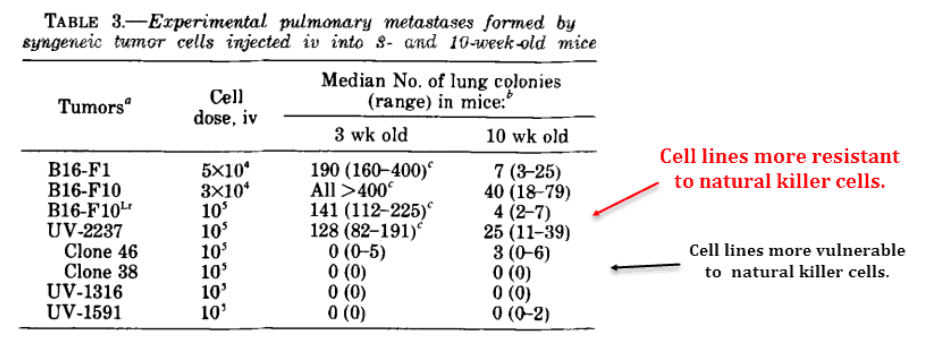 Ce;ll lines more resistant to natural killer cells