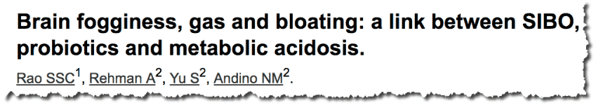 Brain fogginess, gas and bloating: a link between SIBO, probiotics and metabolic acidosis