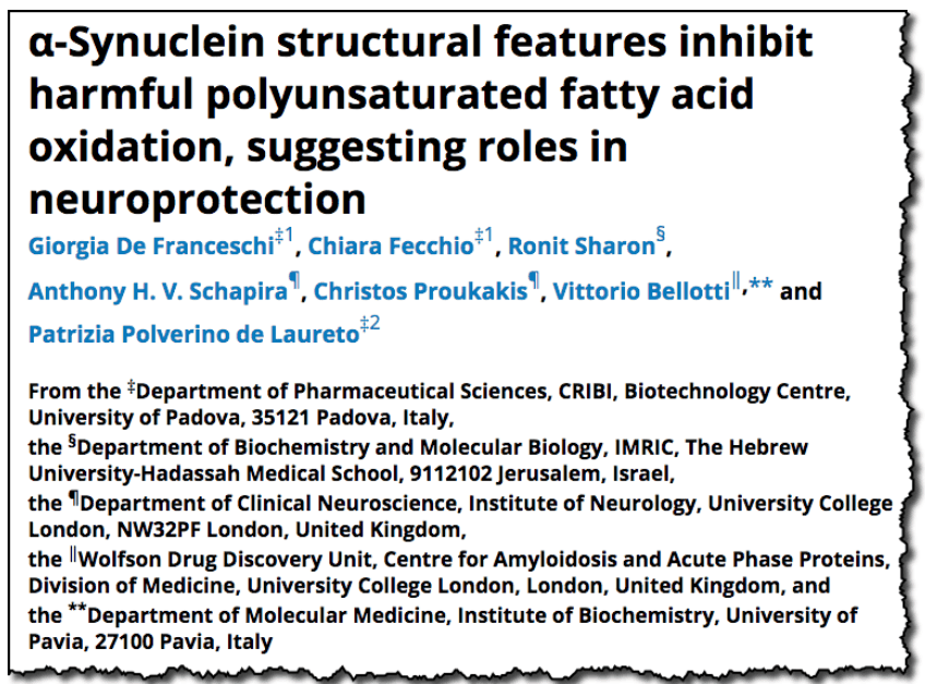 α-Synuclein structural features inhibit harmful polyunsaturated fatty acid oxidation, suggesting roles in neuroprotection