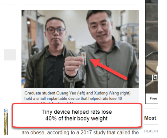 Tiny device helped rats lose 40% of their body weight